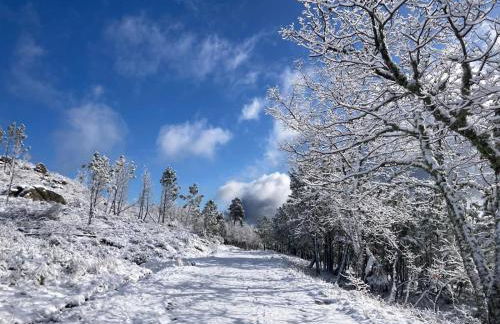 Melro-d' água - Foto 1