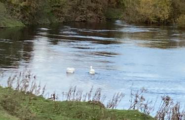 High Oak Holiday Cottage - Foto 21