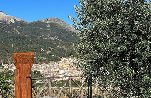 Agriturismo Dispenza - Foto 102