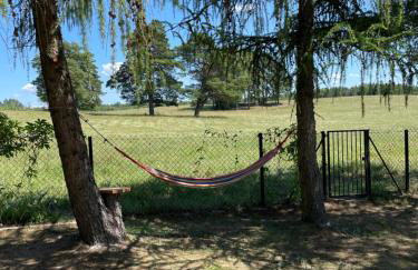 Kisielkowo - Foto 17