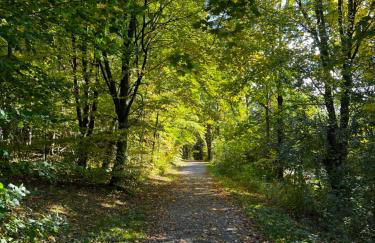 Apartment zum Aatal - Foto 15