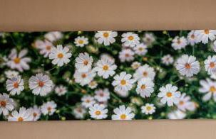 Lorraine's Cottage Style Studios, shared swimming pool and bbq only for guests at Simotata village - Photo 37