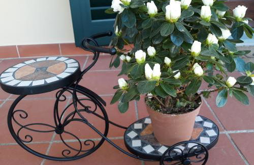 Villa Monica - Foto 30