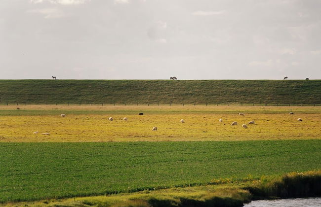 FEWO auf dem Lande - Foto 22