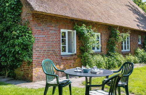 Fewo Silke Dethlefsen - Foto 8