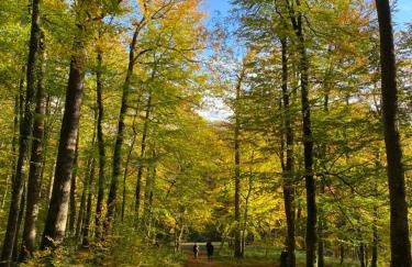 Cosy appartement dans le Perche - Foto 12