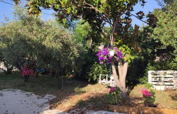 Delux apartments Villa Mihaela - Foto 38