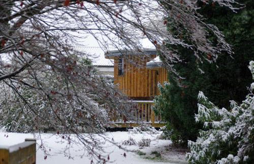 Fun holiday lodges in historic walled garden near Falkirk, Heart of Scotland Holidays - Foto 19