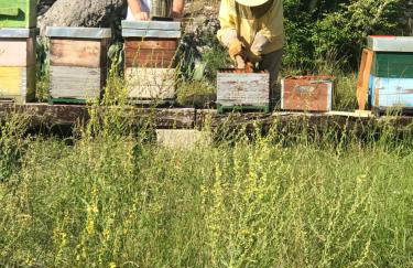 Ferienhaus Jadranka - Foto 33