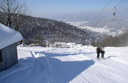 Ferienland Sonnenwald Fewo 46 und Studio 50 in Schöfweg Bayerischer Wald - Foto 38