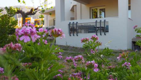 Olive House - Photo 2, Garden