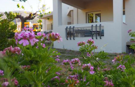 Olive House - Foto 2