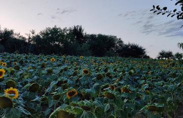Ferienwohnung am Hollergraben - Foto 28