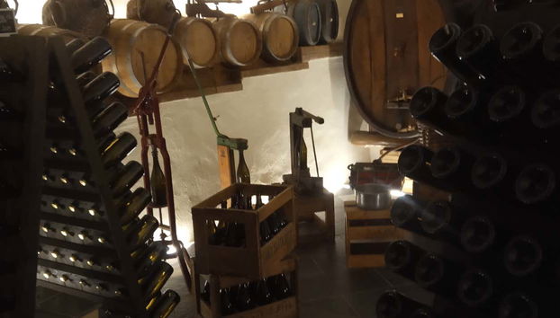 Barricas de la vinoteca