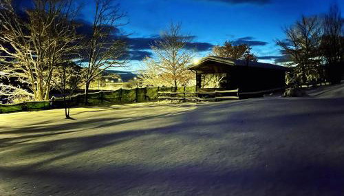 Chalet Vacanze Il Daino - Foto 4