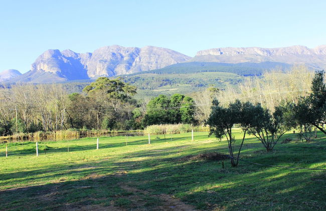 Village Lodge Paarl - Photo 39