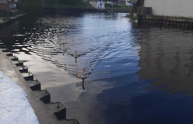 Stunning Riverside Town House With Views, Ayrshire - Foto 25