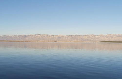 Iris Sabunike - Photo 15