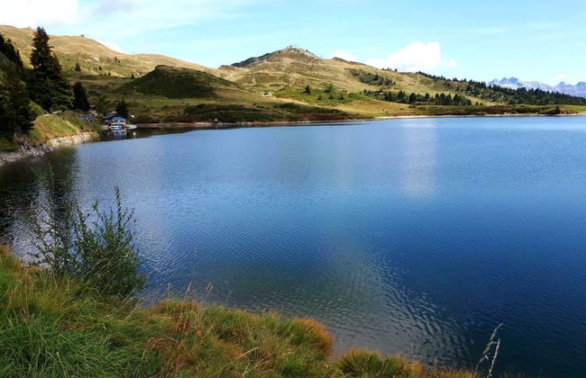 Robert 1. OG Süd - Foto 8