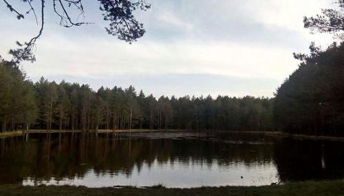 Casa Rural El Lavadero - Foto 4