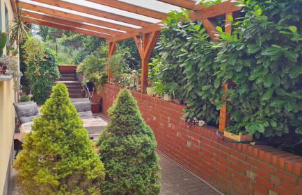 FeWo "Arte" am Wandlitzsee - Foto 11