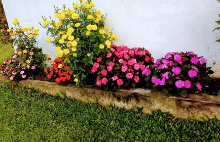 Sítio Recanto do Araçá - Foto 35