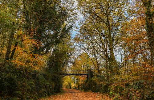 Cwt Mochyn - Foto 20