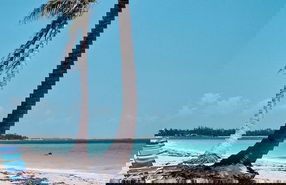 NEW Stunning Beachfront Condo at the Coral Beach - Foto 57