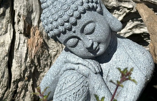 Kūkupa Matairangi at Akaroa Lavender - Foto 6