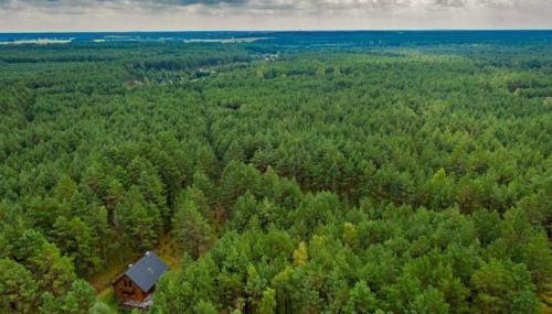 DOM w BORACH - Foto 5