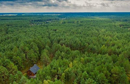 DOM w BORACH - Foto 5