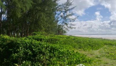 APARTAMENTO x 4 pessoas no VILLAGE DAIANE TAQUARY Guaibim Valença Bahia - Foto 3