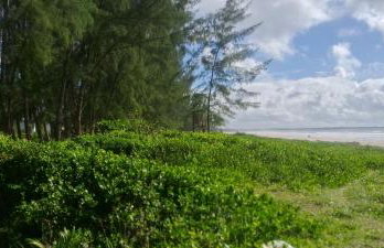 APARTAMENTO x 4 pessoas no VILLAGE DAIANE TAQUARY Guaibim Valença Bahia - Foto 3