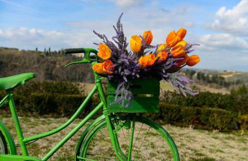 Green Bike Vintage Tuscany - Countryside holiday apartment with pool - Foto 20