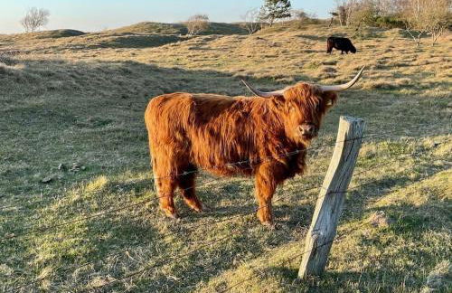 Holiday home "Treehouse" - Foto 11