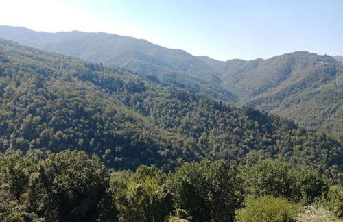 Preciosa casa en la Toscana con piscina - Foto 12