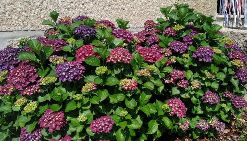 Casa do Reguengo, Freigil - Foto 2