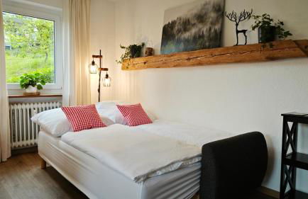 Schwarzwaldraum Schlossblick - Foto 6