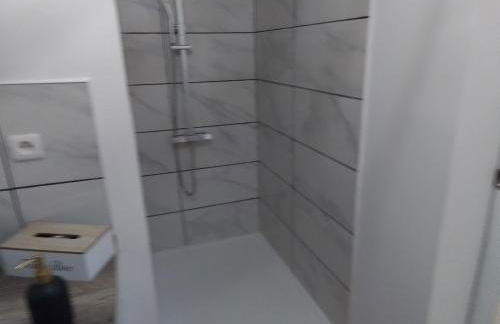 Special 24H du MANS - Photo 10