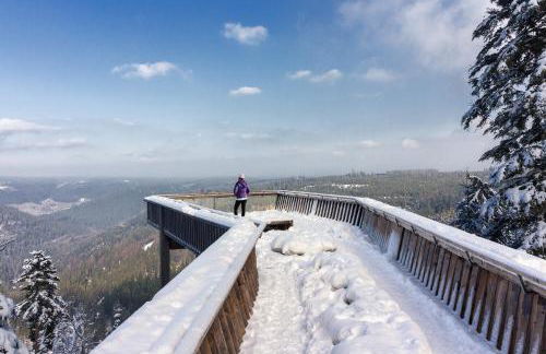 Ferienwohnung am Leinbach, nahe Freudenstadt - Photo 11