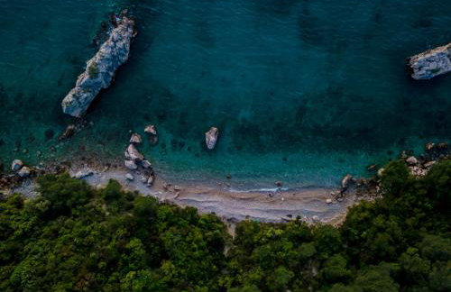 Artorius Duba - Photo 16