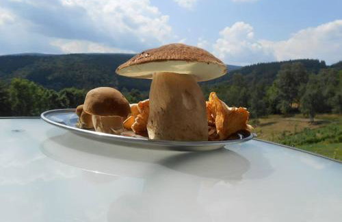 Halinówka - Twoje Miejsce w Górach Sowich - Foto 34