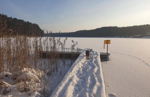 Serce Puszczy Wiartel - Foto 33