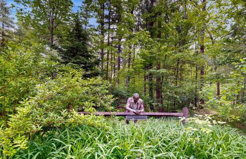 Hidden Haven - Foto 25