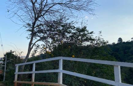 Chácara Recanto da Paz - Photo 62