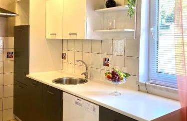 House Haus Stepcich - Foto 33