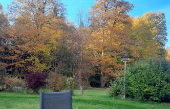 Hüttenzauber Ferienwohnung mitten im Nationalpark - Foto 31