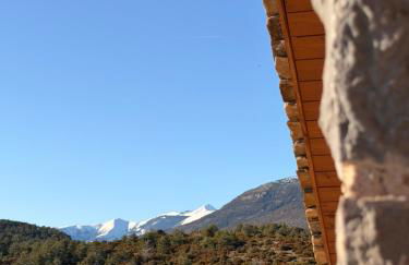 As Fuebas de Patricio - Foto 6