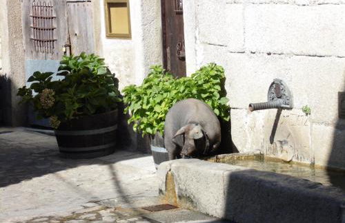 Apartamentos Azahar - Foto 80