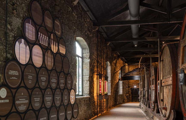 Visita a la bodega Burmester - Foto 8